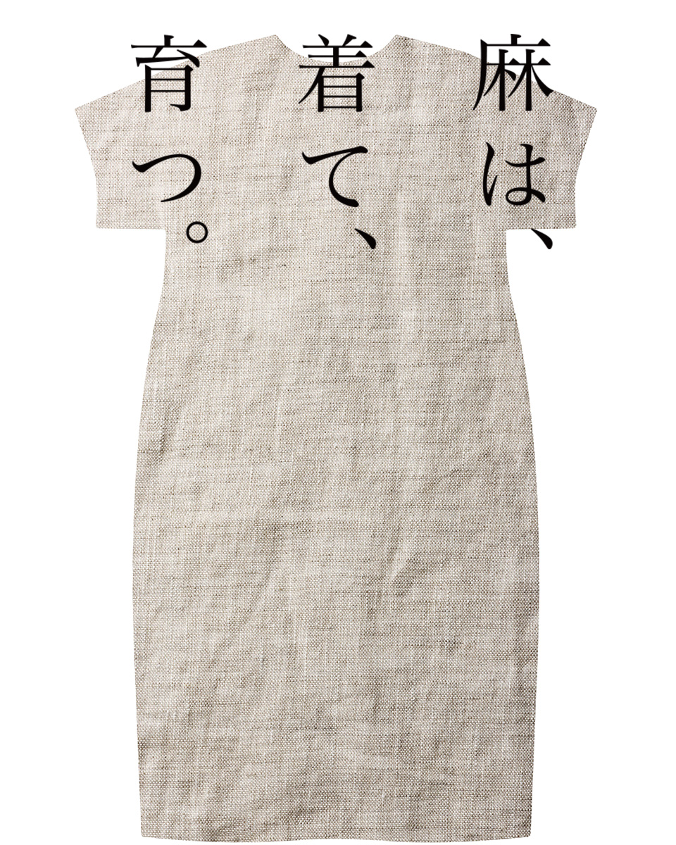 配送料無料