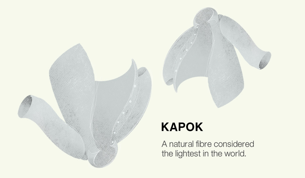KAPOK ILLUSTRATION- A fibre considered to be the lightest in the world