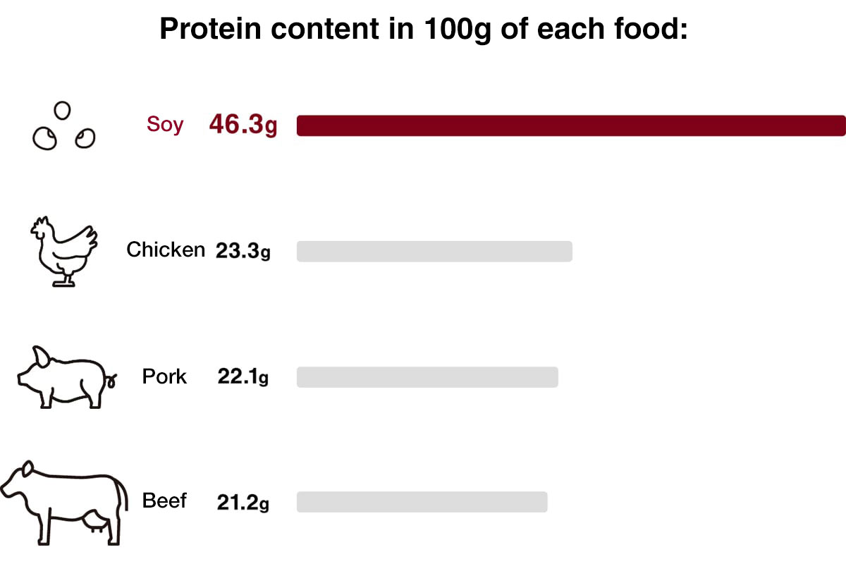 Soy Meat Series Muji
