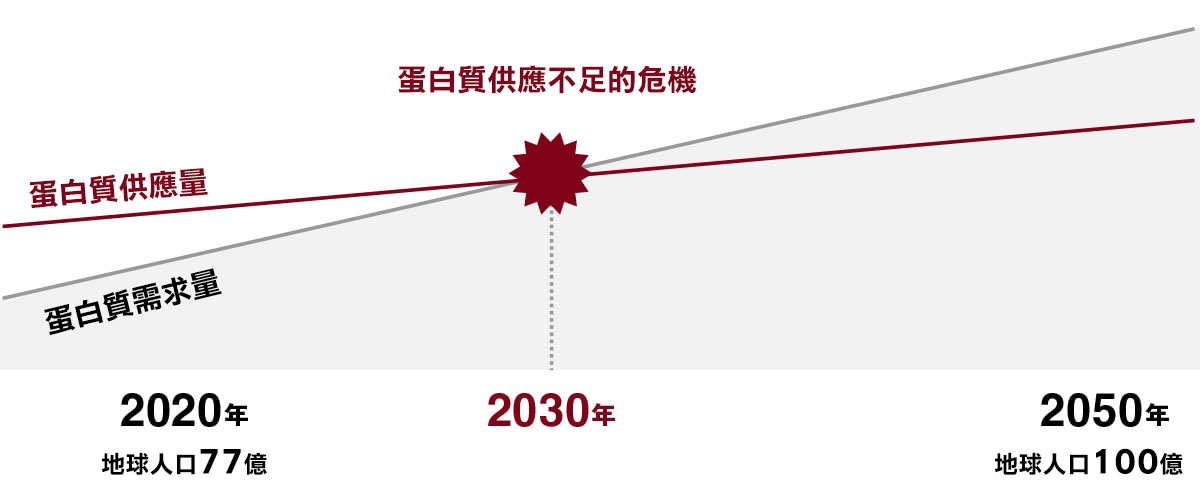 問題 2030 年