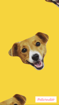 げんみき