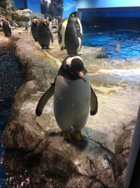すみきち