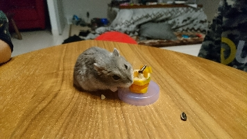 もえ97