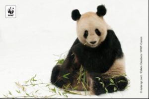 ステンレスレードル 商品別レビュー 通販 無印良品