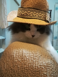 虎太郎イケメン