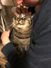 ジョゼとそらとがく