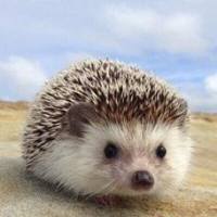 コハル