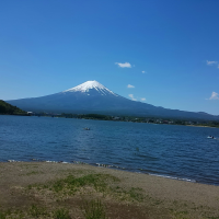 ハニーママ