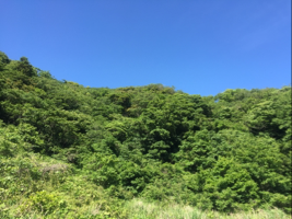 ジョンのしっぽ