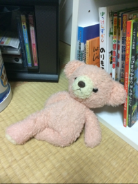 くまくまくまくま