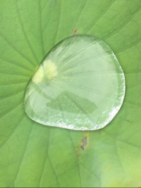ラムネ