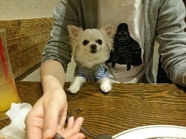 1116