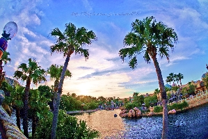 みゆみゆみゆみ