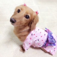 こんこん❤︎