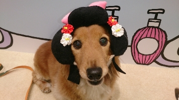 モルツ