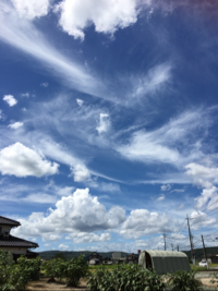 ろころころこ