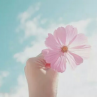 輝桜