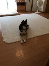 なへさん