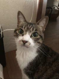 同じ穴の無地ナ