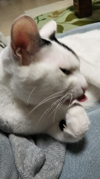 ToToNa