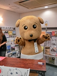 コメッコ