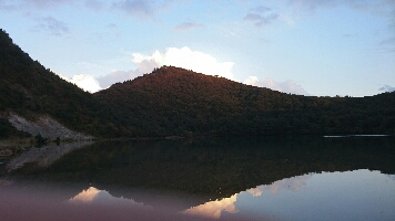 ミックスビーンズ