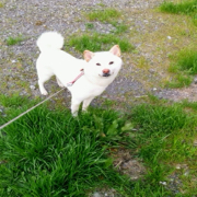 ひとかけら