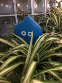 にもる