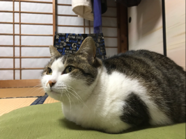 足は21.5cmのみ〜ぺ