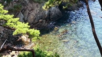 イギーH