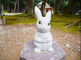 riripupu