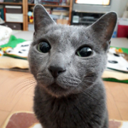 ポンタパパ