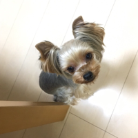 むぅみ