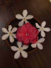 aroma_aroma