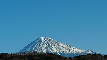 だいあひ