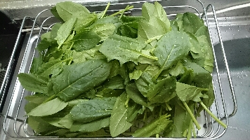 spinach