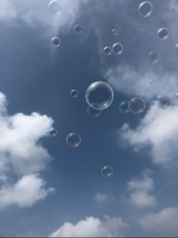 やまやまやままやまやま