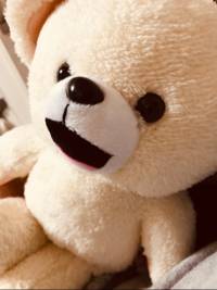 ももンガ！
