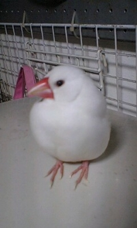 ぶん6