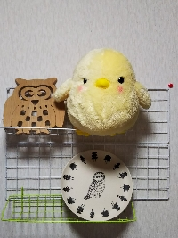 ざびぽん