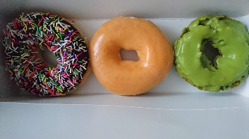 たたたたたたたた