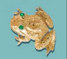 PUS