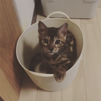 フニクリフニクラ