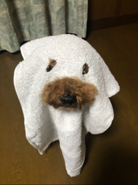 ちかこです