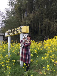 あんぺすぺこ