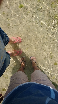 もとはるすぬこ