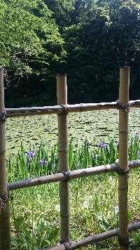 RIZRIZ