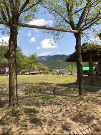えもこみ