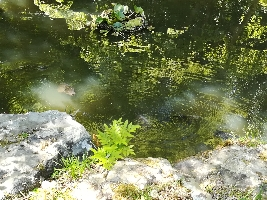satoudyeske