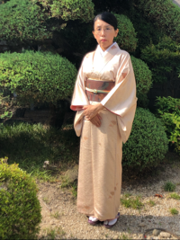 砂漠に咲いた黄色い花